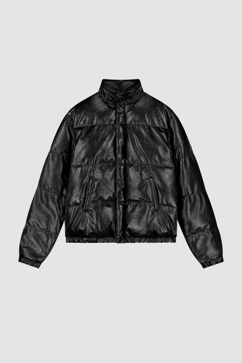 puffer1.jpg puffer1.jpg