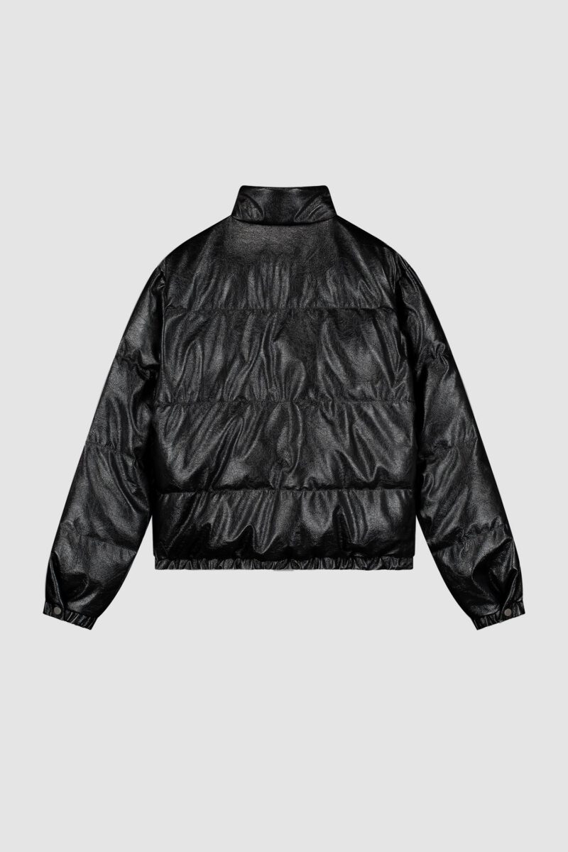 puffer2jpg.jpg puffer2jpg.jpg